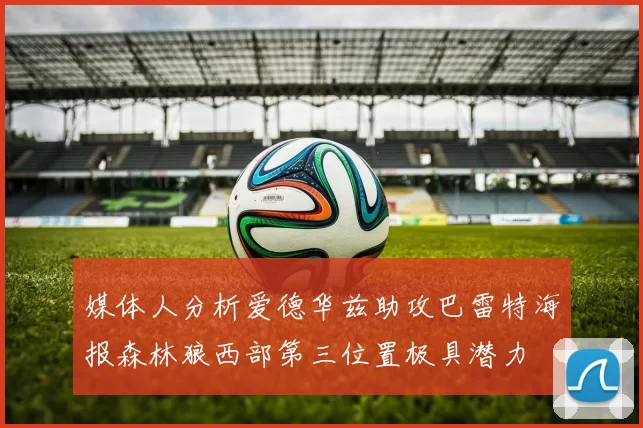 媒体人分析爱德华兹助攻巴雷特海报森林狼西部第三位置极具潜力