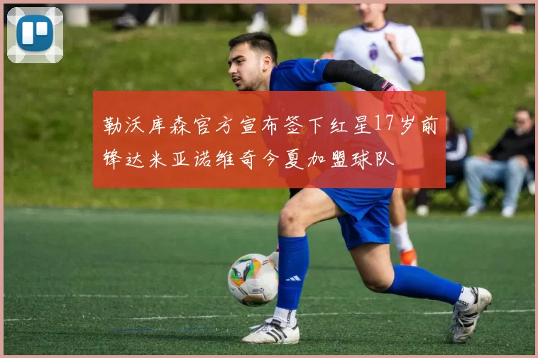 勒沃库森官方宣布签下红星17岁前锋达米亚诺维奇今夏加盟球队